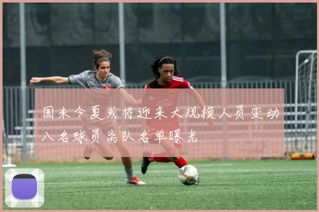 国米今夏或将迎来大规模人员变动八名球员离队名单曝光